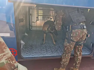 Apreensão de cocaína em ônibus clandestino termina com dois detidos