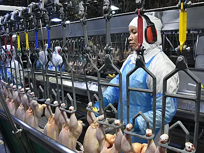 Exportação de industrializados de MS alcançou em outubro o melhor resultado da série história