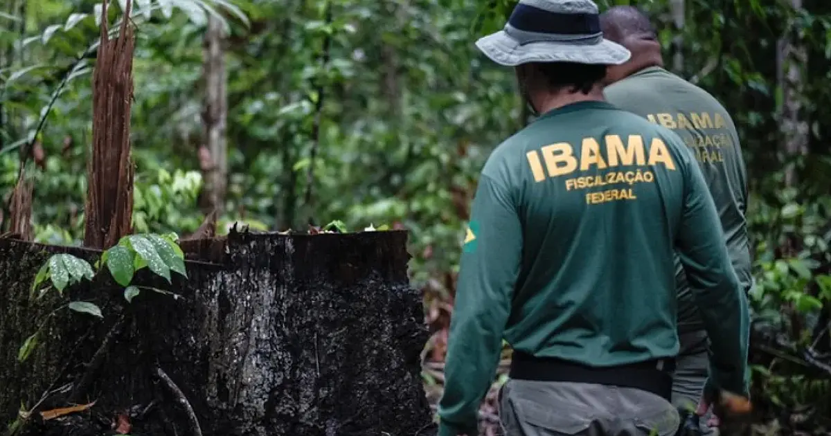 Com ofertas em MS, Ibama publica edital de concurso com 460 vagas