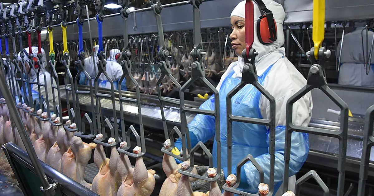 Faturamento da indústria tem maior crescimento anual desde 2010