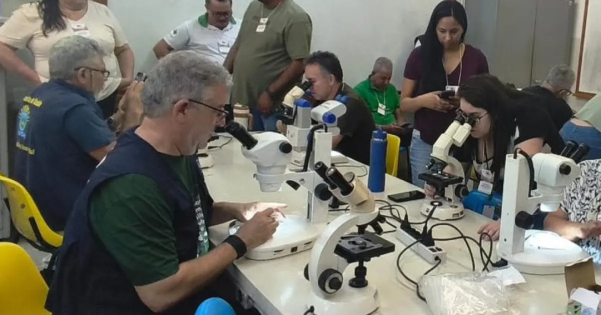 Treinamento intensivo prepara saúde de MS contra à Febre Oropouche