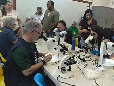 Treinamento intensivo prepara saúde de MS contra à Febre Oropouche