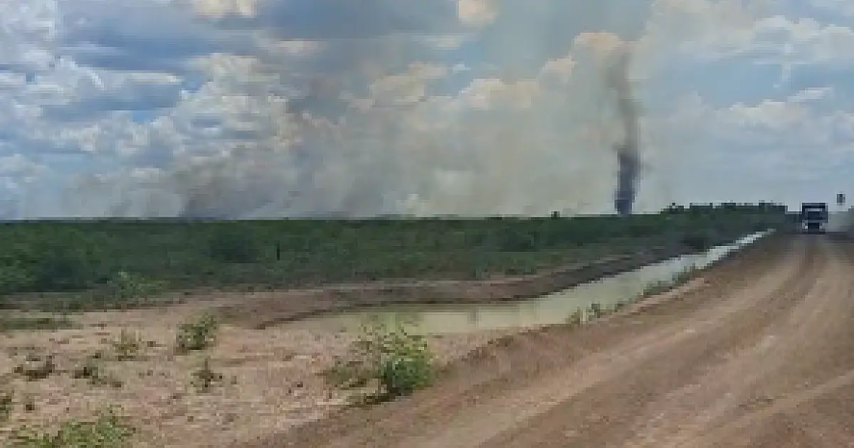 Pantanal registra alta de focos de incêndio e bombeiros reforçam combate