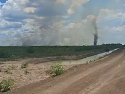 Pantanal registra alta de focos de incêndio e bombeiros reforçam combate