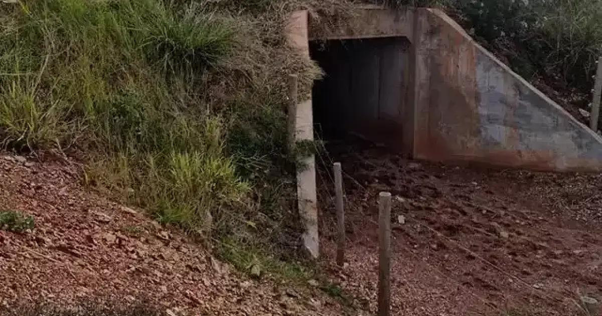 Ibama vai fiscalizar passarelas de fauna na BR-262