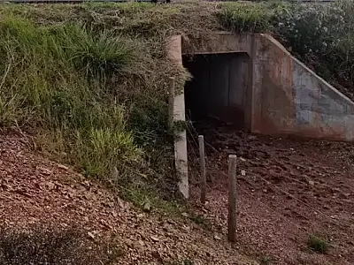 Ibama vai fiscalizar passarelas de fauna na BR-262