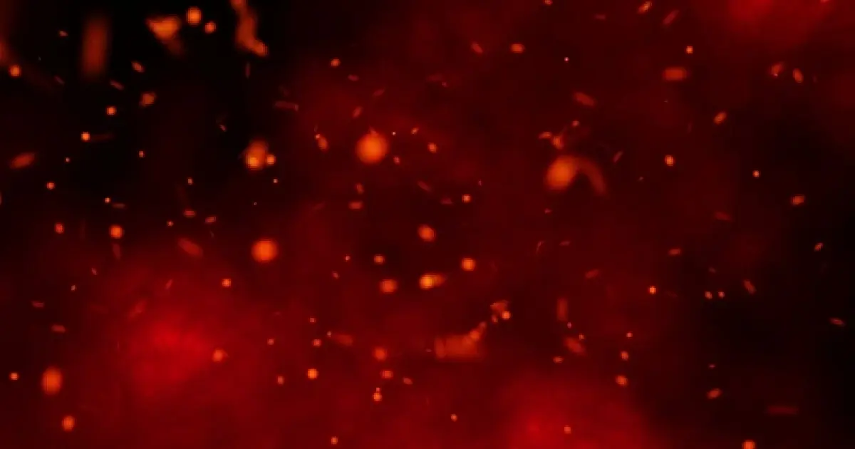 Fazenda recebe TAC por desmate ilegal que emitiu 598 toneladas de CO no Pantanal