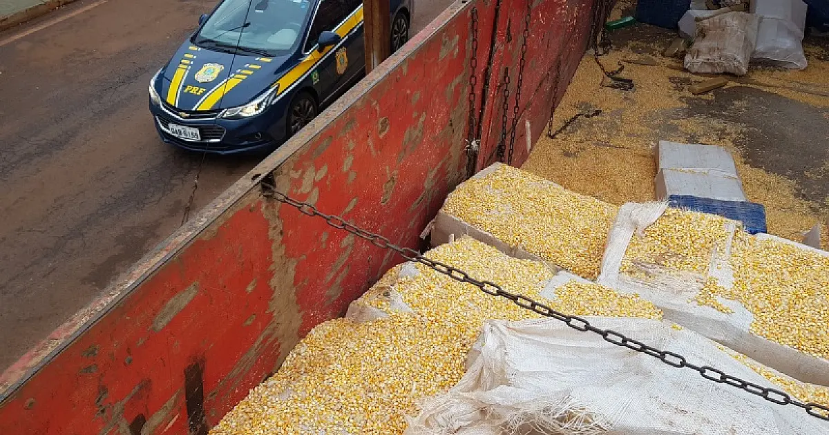 Operação Tamoio II: PRF apreende 8 toneladas de maconha em Ponta Porã (MS)