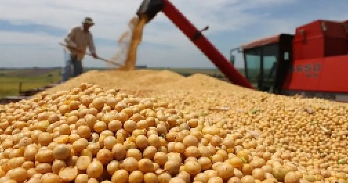 Brasil estima colheita de 354,8 milhões de toneladas de grãos