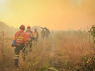 Corumbá declara emergência por 90 dias devido a incêndios no Alto Pantanal