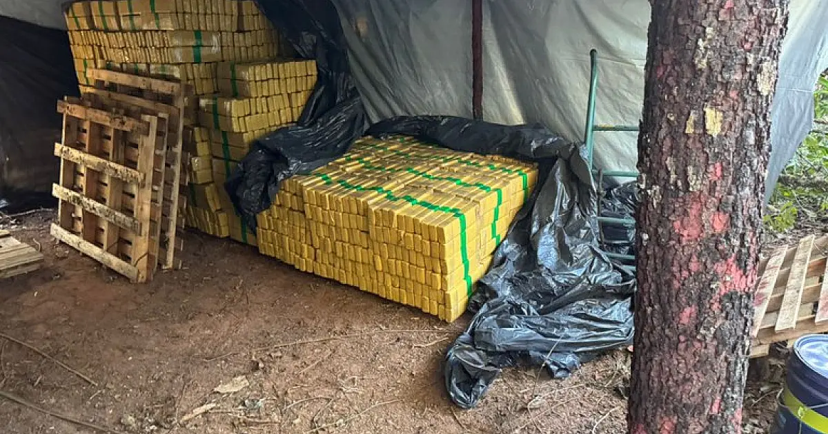 Operação desmantela acampamento com oito toneladas de maconha no MS