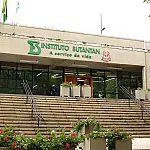 Butantan produzirá remédio contra câncer para o SUS