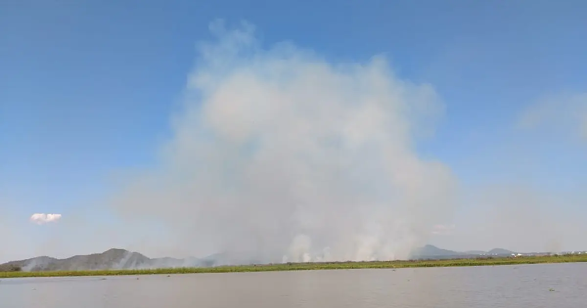 Chegada do outono, fumaça e tempo seco pioram síndromes respiratórias