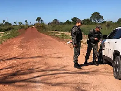 Operação intensifica combate à ceva de animais silvestres no Pantanal