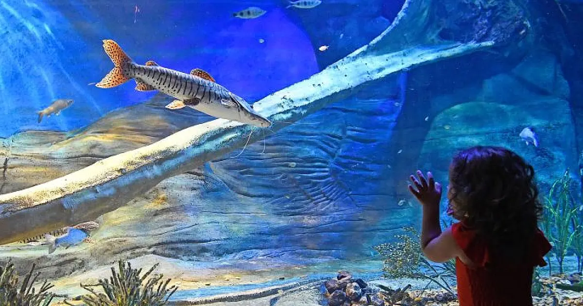 Bioparque divulga horário especial de Carnaval; local contará com apresentações musicais