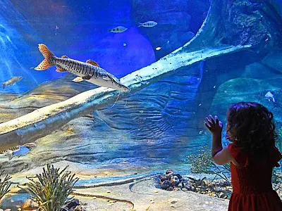 Bioparque divulga horário especial de Carnaval; local contará com apresentações musicais