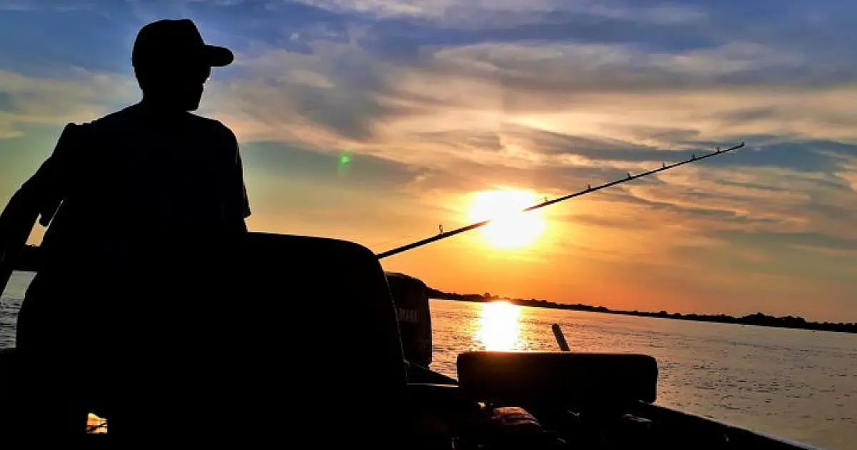 Proibição da captura do Dourado por mais dois anos segue para sanção do governador
