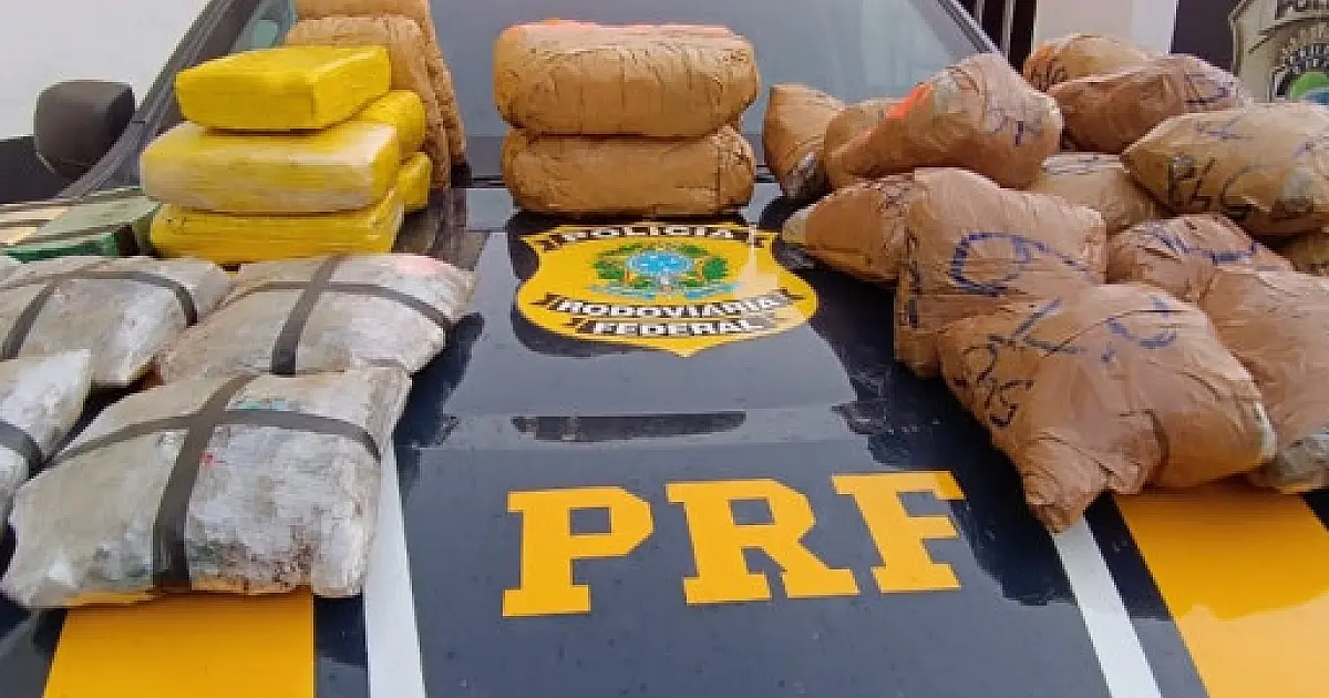 Rapaz de 17 anos é detido com 28 kg de drogas na BR 262
