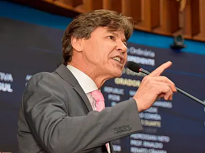 Paulo Duarte solicita poda de árvores na beira da BR 262