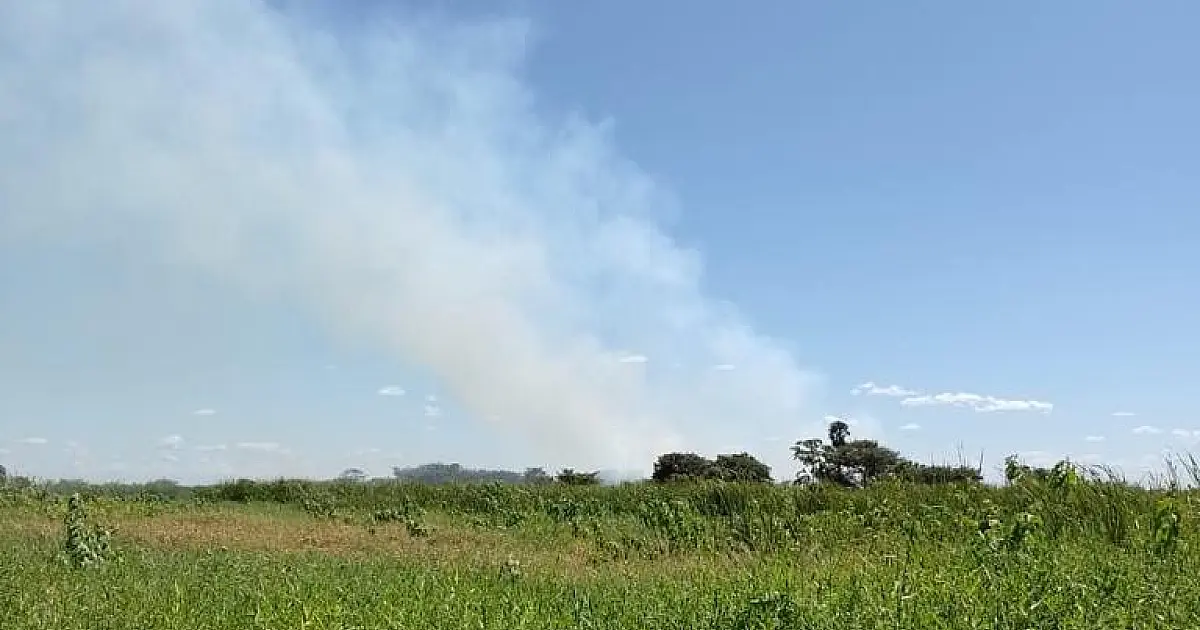 Incêndio em vegetação desloca Bombeiros e PMA para Canal do Tamengo