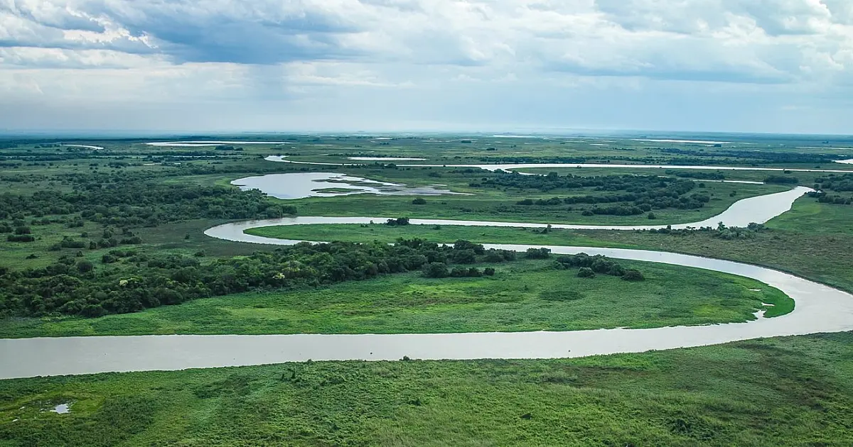 Relatório identifica mais de 1,2 milhão de ha com potencial para projetos de carbono no Pantanal