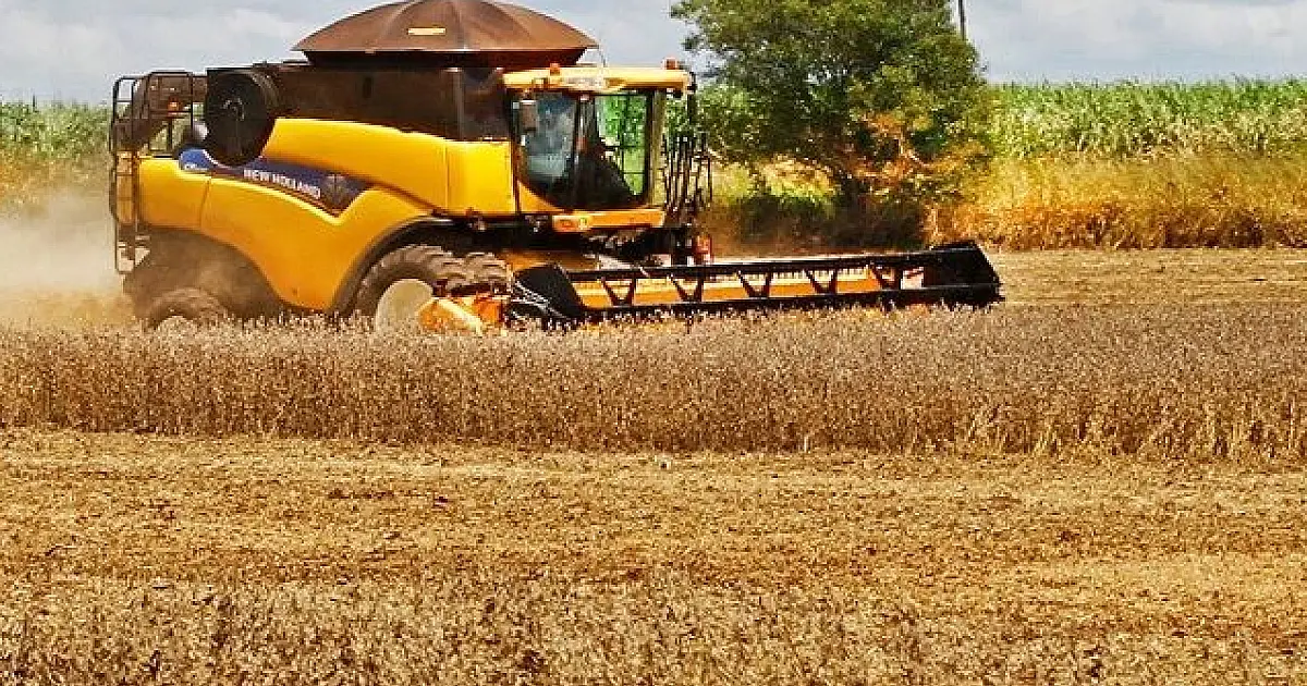 Mato Grosso do Sul registra 11% de crescimento nas exportações