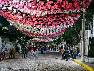 Fundação de Cultura repudia atitude de empresa que cortou bandeiras de São João no Porto