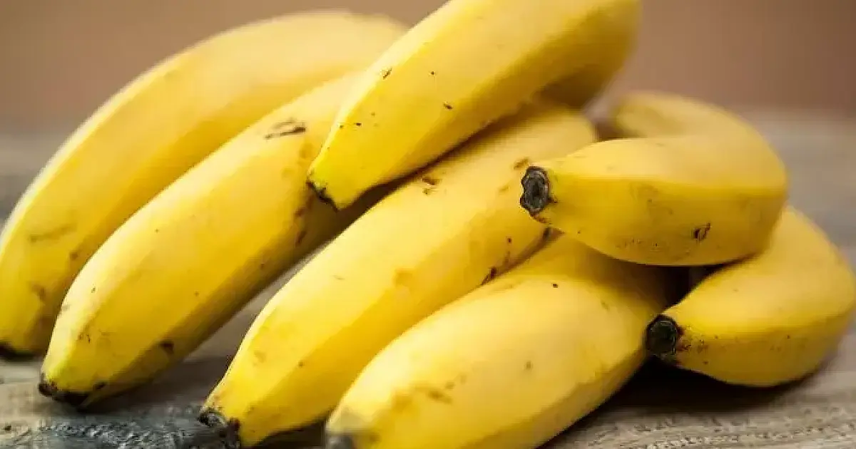 Banana é a fruta mais comercializada na Ceasa de Mato Grosso do Sul