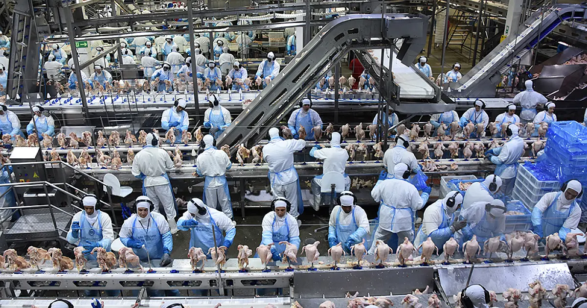 Indústria puxa exportações e novembro fecha com melhor resultado da história