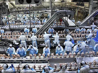 Indústria puxa exportações e novembro fecha com melhor resultado da história