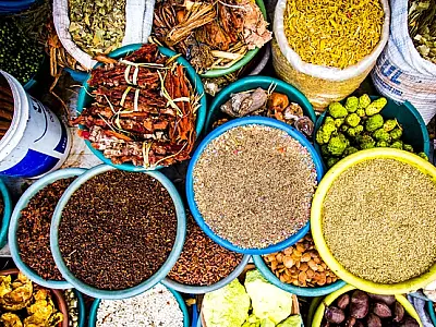 Evento em Corumbá dá destaque ao saber popular dos raizeiros da região