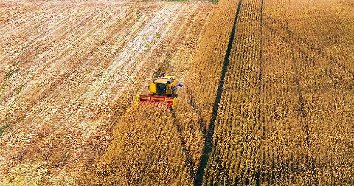 Reta final da safra é o período mais crítico da produção de soja
