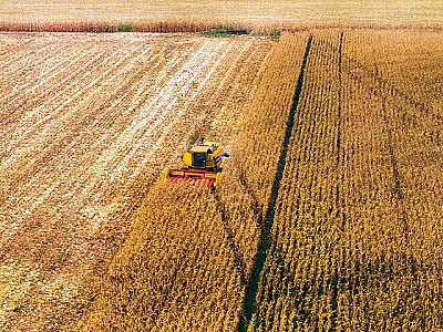 Reta final da safra é o período mais crítico da produção de soja