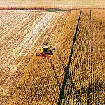 Reta final da safra é o período mais crítico da produção de soja