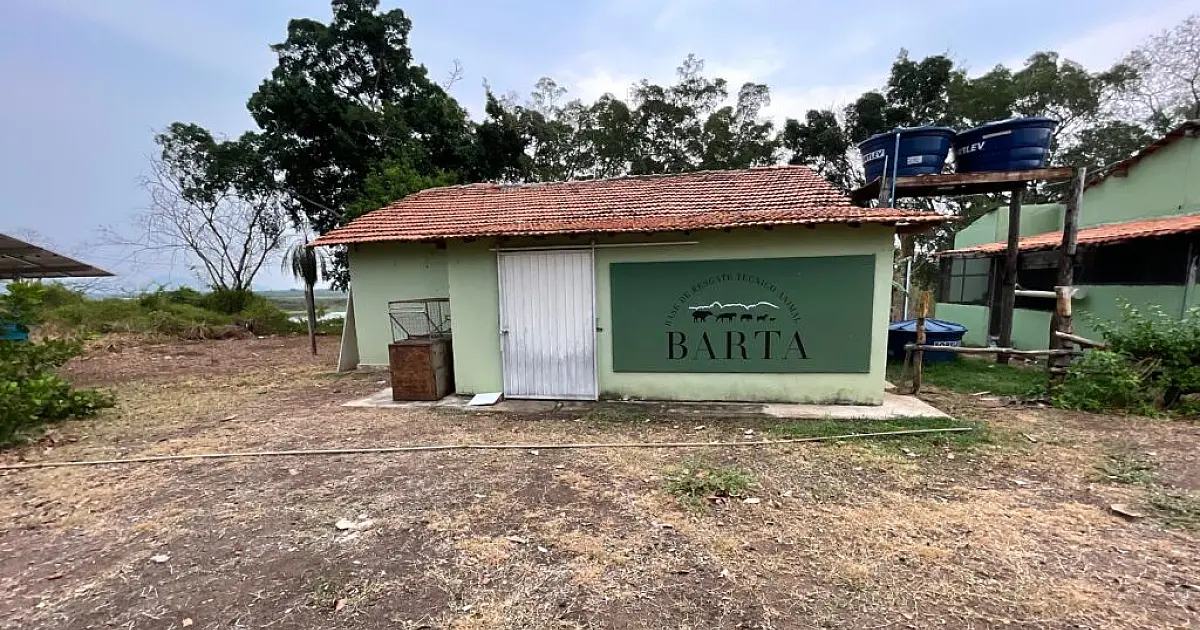 Pantanal ganha primeira base veterinária remota para fauna silvestre