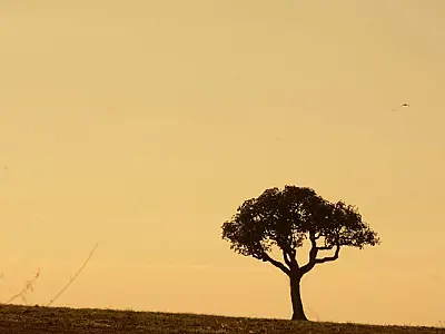 Chuva abaixo da média e calor acima são previstos para fevereiro, março e abril em MS