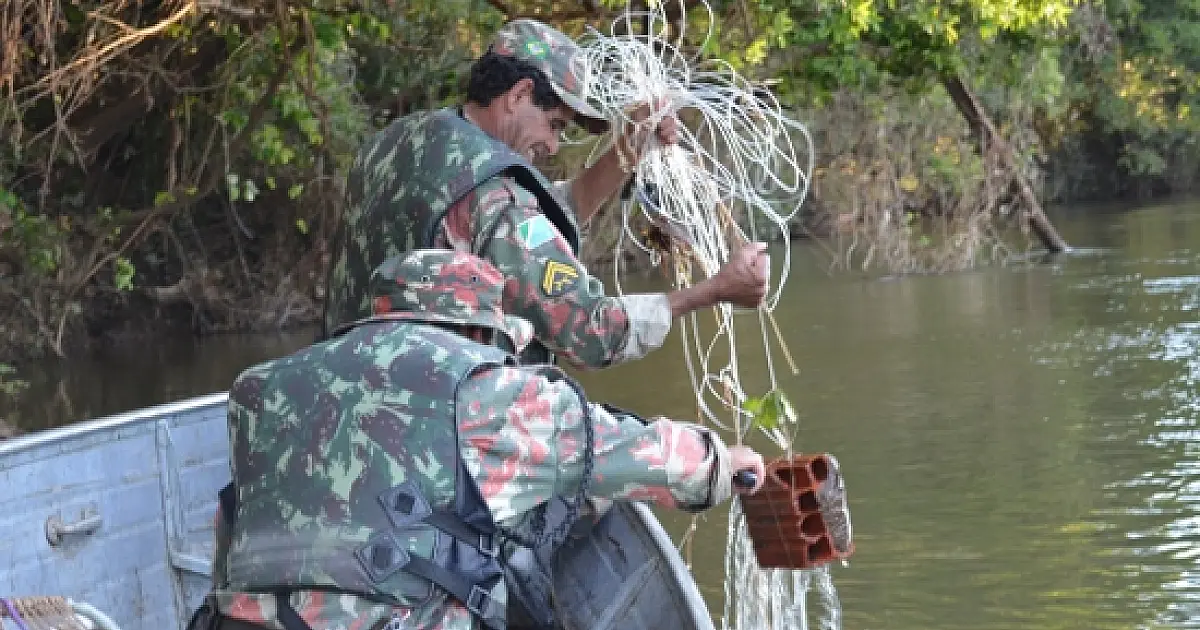 PMA inicia Operação Padroeira com fofo na pesca predatória e ao tráfico de papagaios