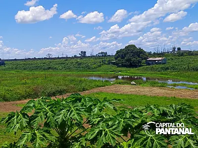 Ribeirinhos cobram desobstrução do Corixo Gonçalinho