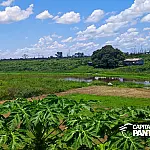 Ribeirinhos cobram desobstrução do Corixo Gonçalinho