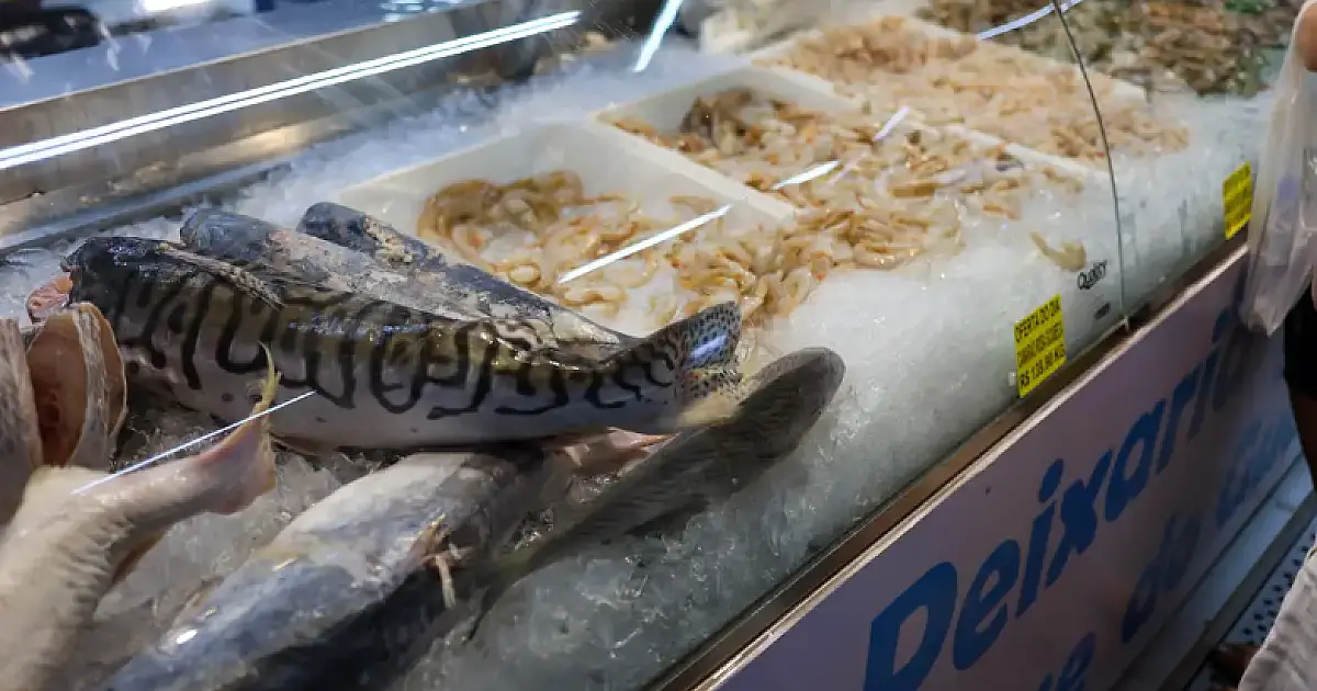 Semana Santa: Como identificar peixe fresco e armazenar com segurança