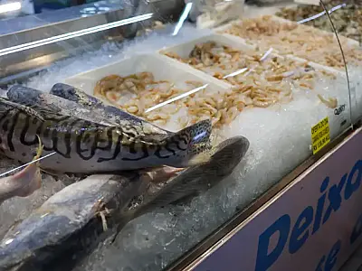 Semana Santa: Como identificar peixe fresco e armazenar com segurança