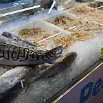 Semana Santa: Como identificar peixe fresco e armazenar com segurança