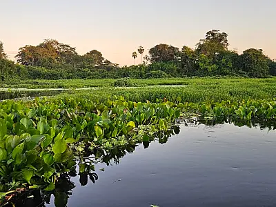 ONG Mulheres em Ação no Pantanal completa 25 anos de atuação