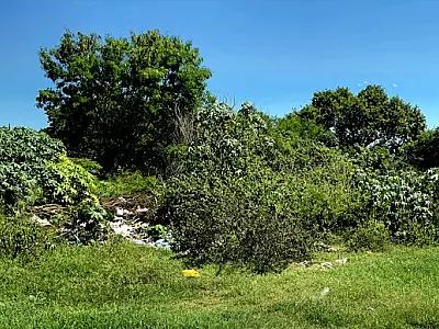 Nanah pede informações sobre terrenos baldios que colocam a saúde pública em risco