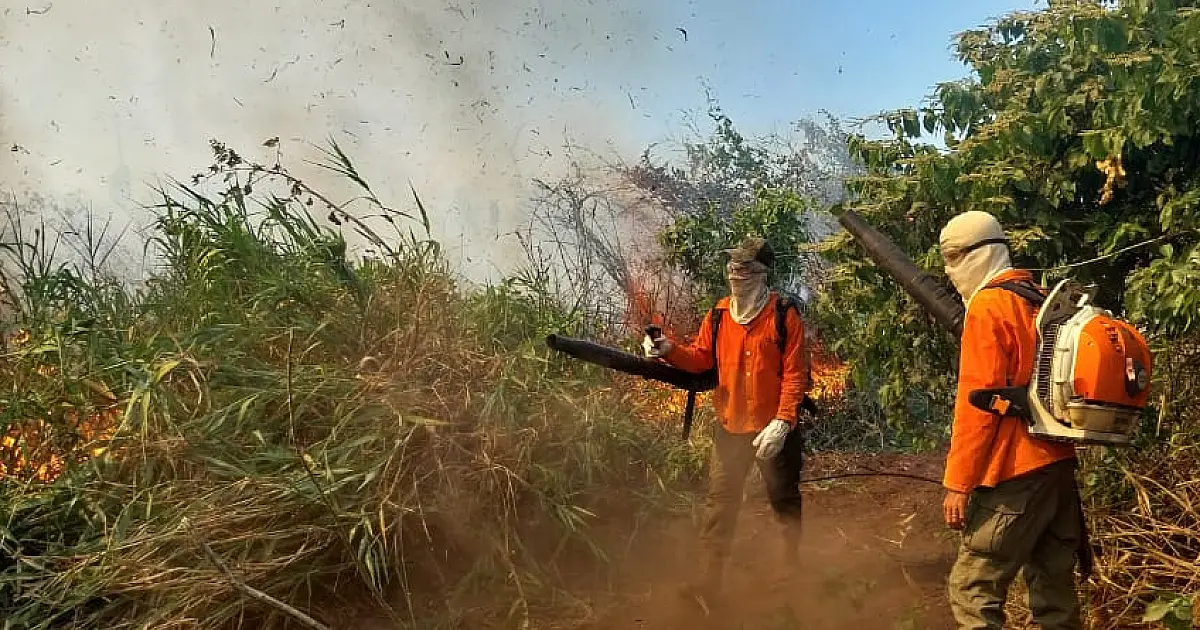 Condições climáticas continuam prejudicando combate aos incêndios florestais em MS