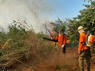 Condições climáticas continuam prejudicando combate aos incêndios florestais em MS