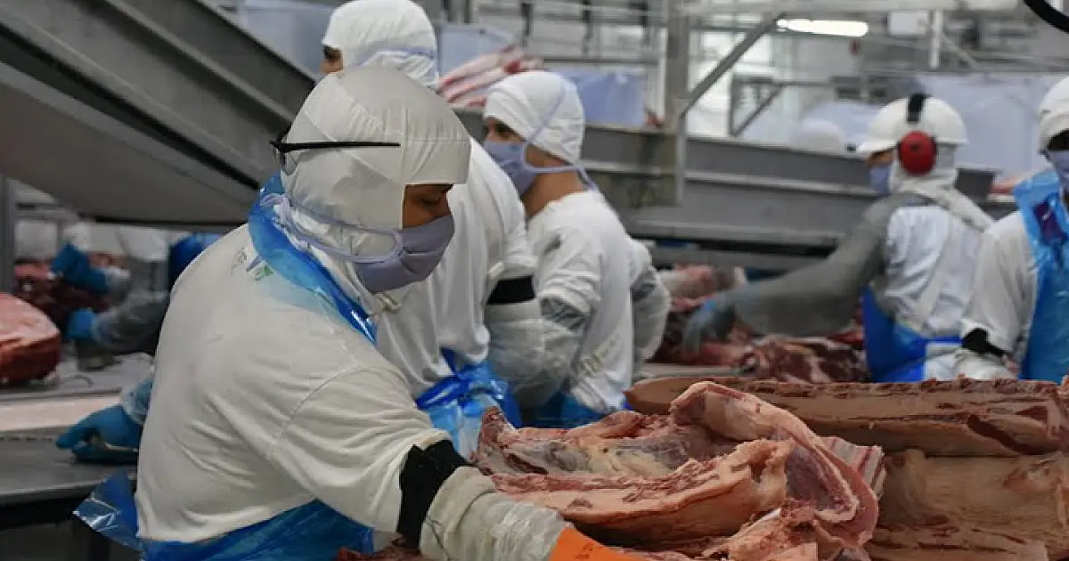 Indústria de MS gerou mais de 11,4 mil novos postos de trabalho de janeiro a outubro de 2023
