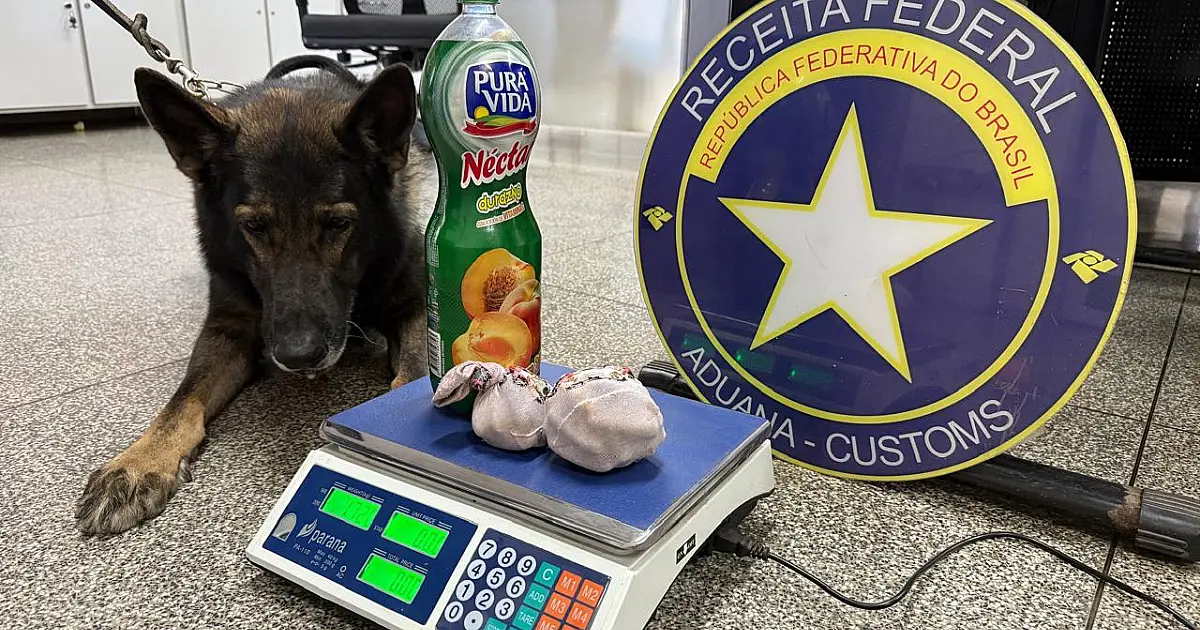 Cão fareja pasta base entocada em banheiro de ônibus clandestino na fronteira