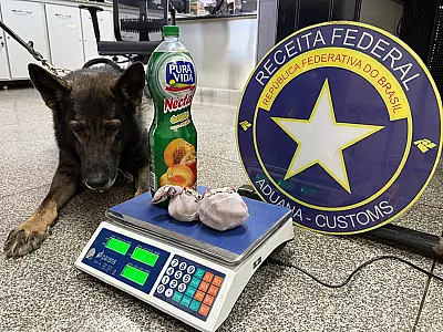 Cão fareja pasta base entocada em banheiro de ônibus clandestino na fronteira