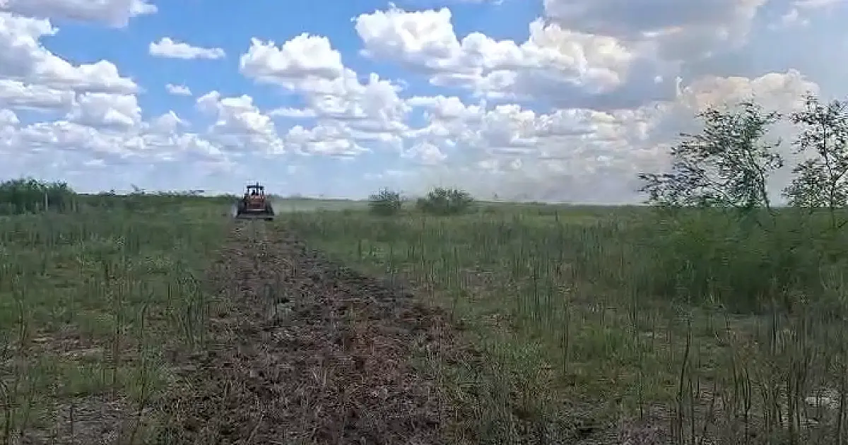 Fogo é contido no Nabileque mas ainda atinge locais isolados da Baía do Tuiuiu